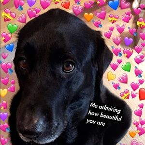 Meet your Posher, Alexandra